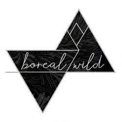 Boreal Wild
